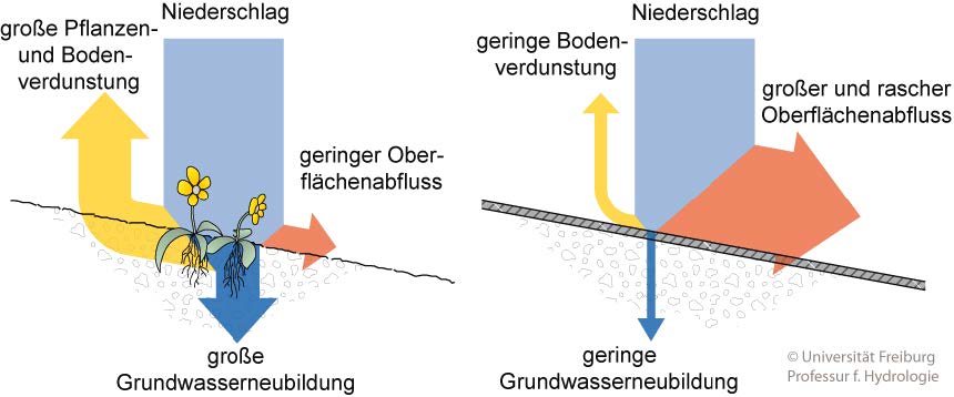 Abbildung 1: Der Wasserhaushalt im Vergleich bei geringer und starker Versiegelung (Quelle: Universität Freiburg, Professur für Hydrologie)